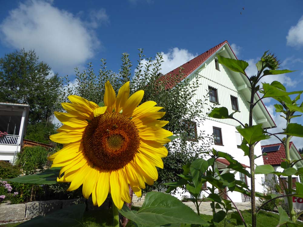 Eingang Wohnung Erholungsraum